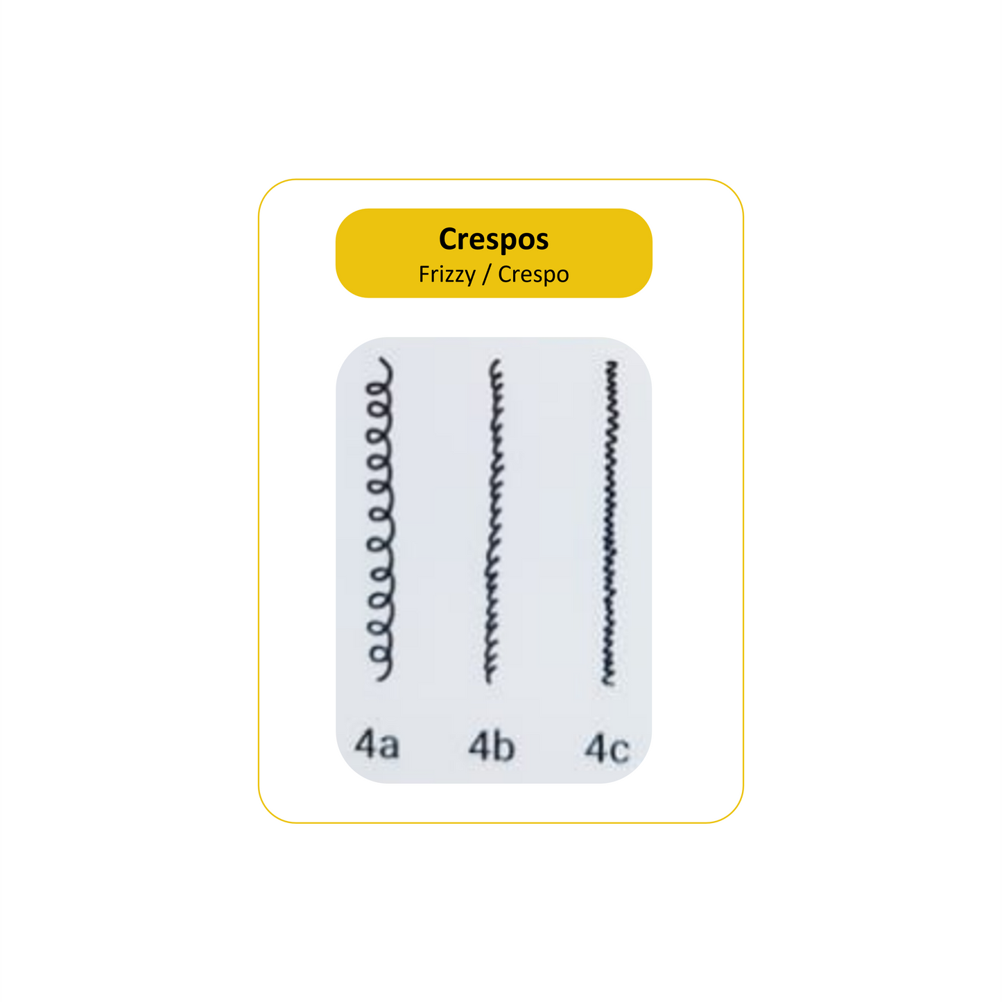 Curly Brush 7239 (Single Bristles) by Marco Boni professional Brush for Brush, highlighted packaging