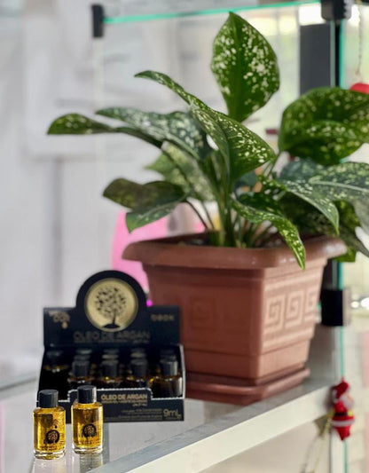 Special D’Or Argan Box by Beox professional Hair Oil, Finisher for Hair Treatment, Kit, highlighted packaging